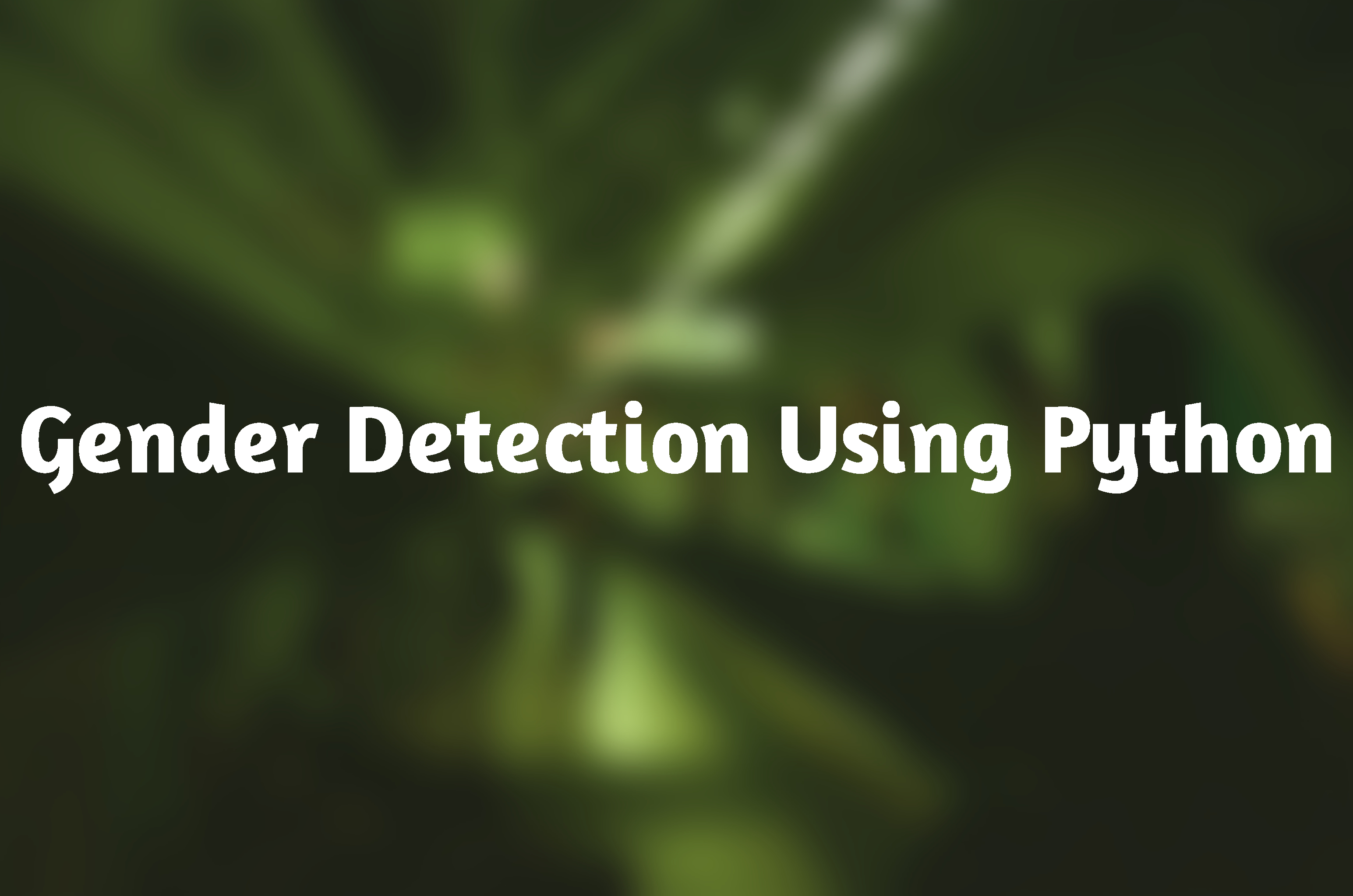 Gender Detection Using Python